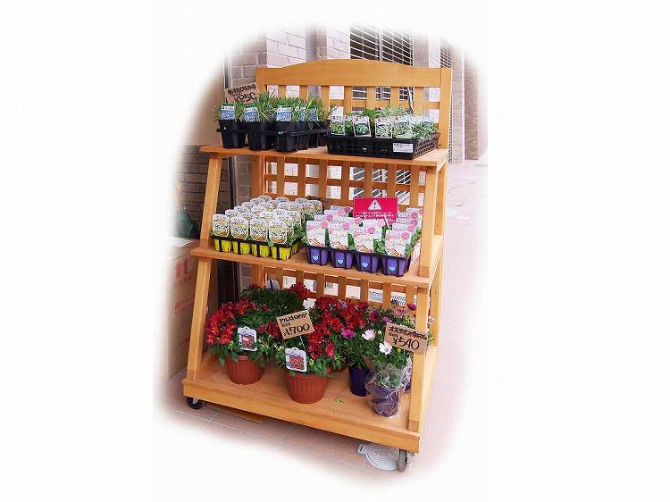 SEK- 木製ラティス生花棚 : 木製什器・木製陳列棚専門のリタナアイチ
