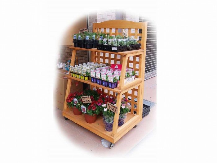 宝箱　木製　店舗什器 SEK- 木製ラティス生花棚 : 木製什器・木製陳列棚専門のリタナアイチ